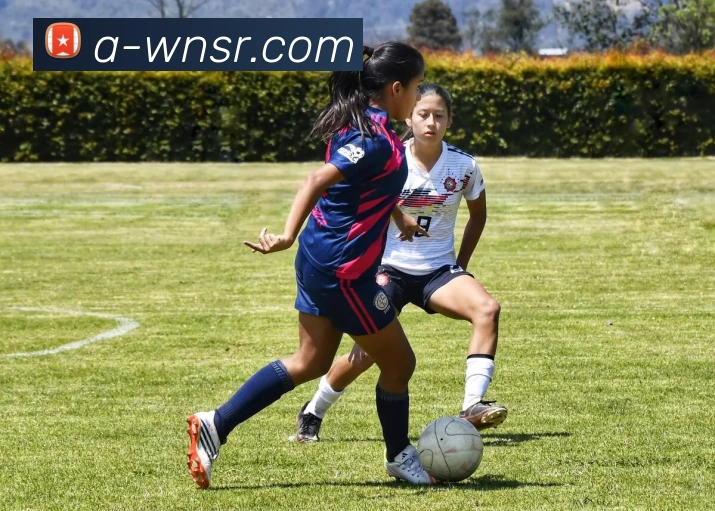 威尼斯人官网平台生态图